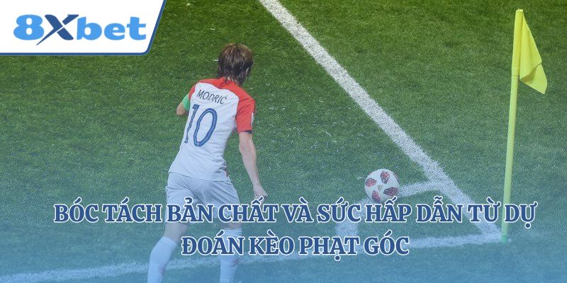 Bóc tách bản chất và sức hấp dẫn từ dự đoán kèo phạt góc