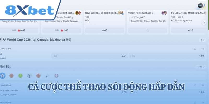 Cá cược thể thao sôi động hấp dẫn khó cưỡng