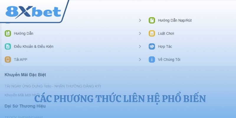 Các phương thức liên hệ phổ biến