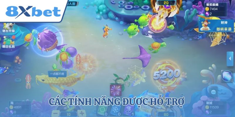 Các tính năng được hỗ trợ 