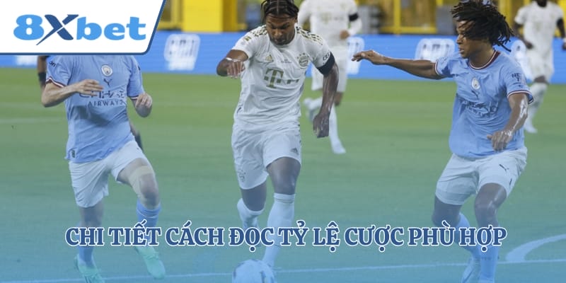 Chi tiết cách đọc tỷ lệ cược phù hợp với từng loại kèo bóng đá