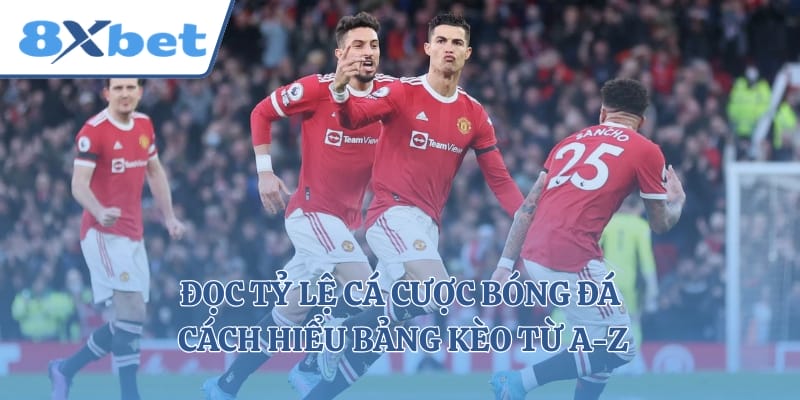 Đọc Tỷ Lệ Cá Cược Bóng Đá - Cách Hiểu Bảng Kèo Từ A-Z