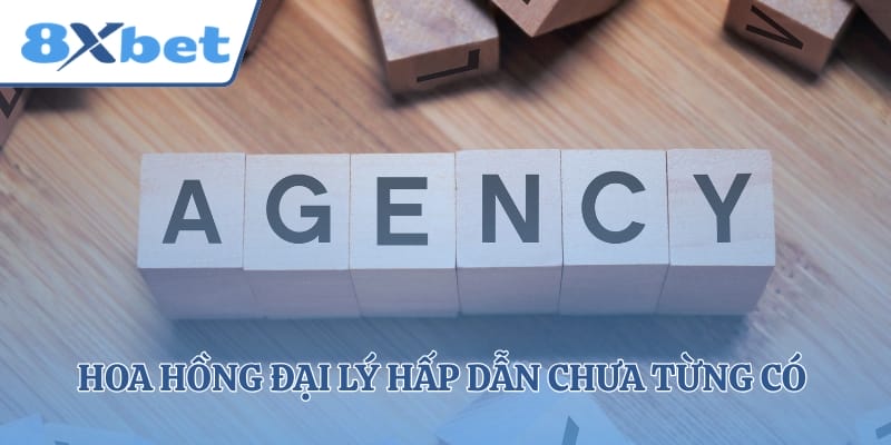 Hoa hồng đại lý hấp dẫn chưa từng có trên thị trường