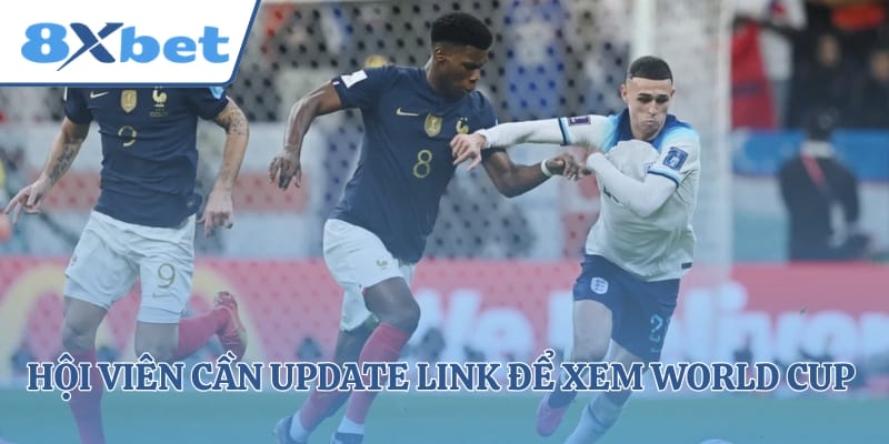 Hội viên cần update link để xem World Cup trọn vẹn
