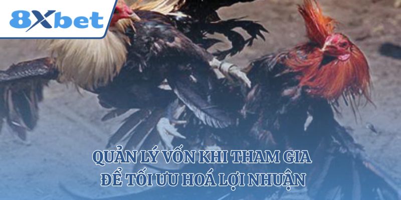 Quản lý vốn khi tham gia để tối ưu hoá lợi nhuận