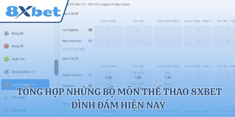 Tổng hợp những bộ môn thể thao 8xbet đình đám hiện nay