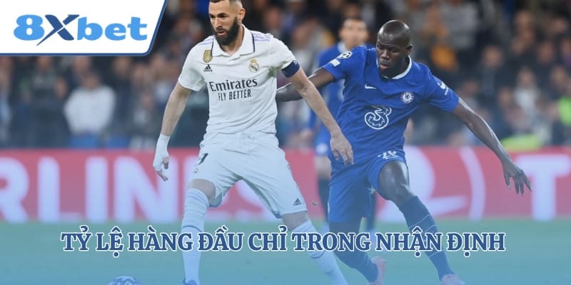 Tỷ lệ hàng đầu chỉ trong nhận định đêm nay